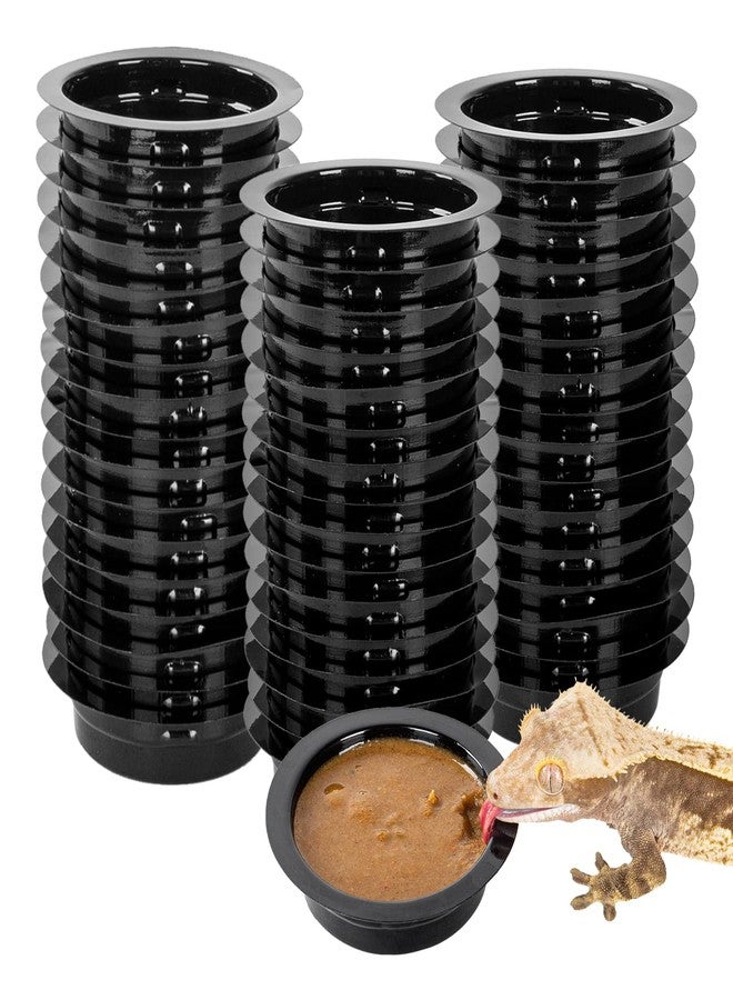 WACOOL Magnetic Reptile Ledge, Acrylic Gecko Feeding Ledge with 6PCS Cups, Reptile Food Water Feeder Dish for Geckos Iguana Chameleon Pets (Cups) - Image 1